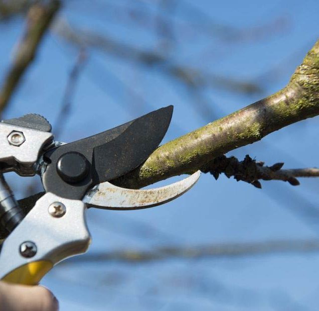 Ferretería Sa Rota herramientas para jardinería 